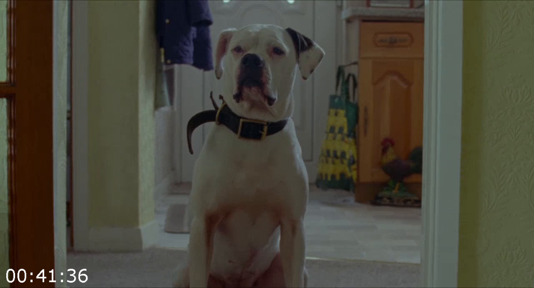 [Kép: ME1AXJQS_o.png]