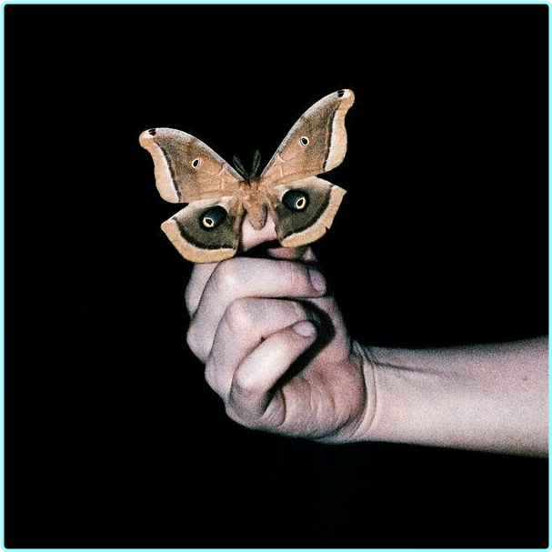 [Image: ME16YP8C_o.png]