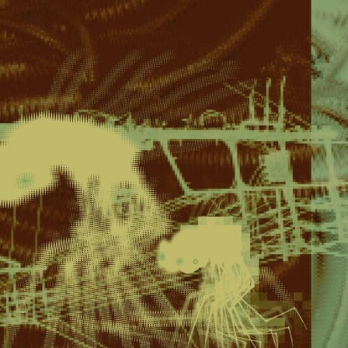  Cashier - The Weight (2026) 