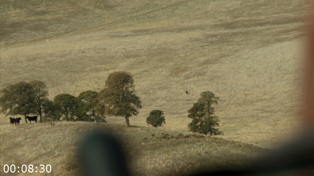 [Image: ME16ZEIV_o.png]