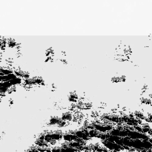  Bot1500 - The Black Sea (2026) 