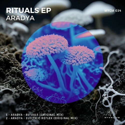  Aradya - Rituals (2025) 