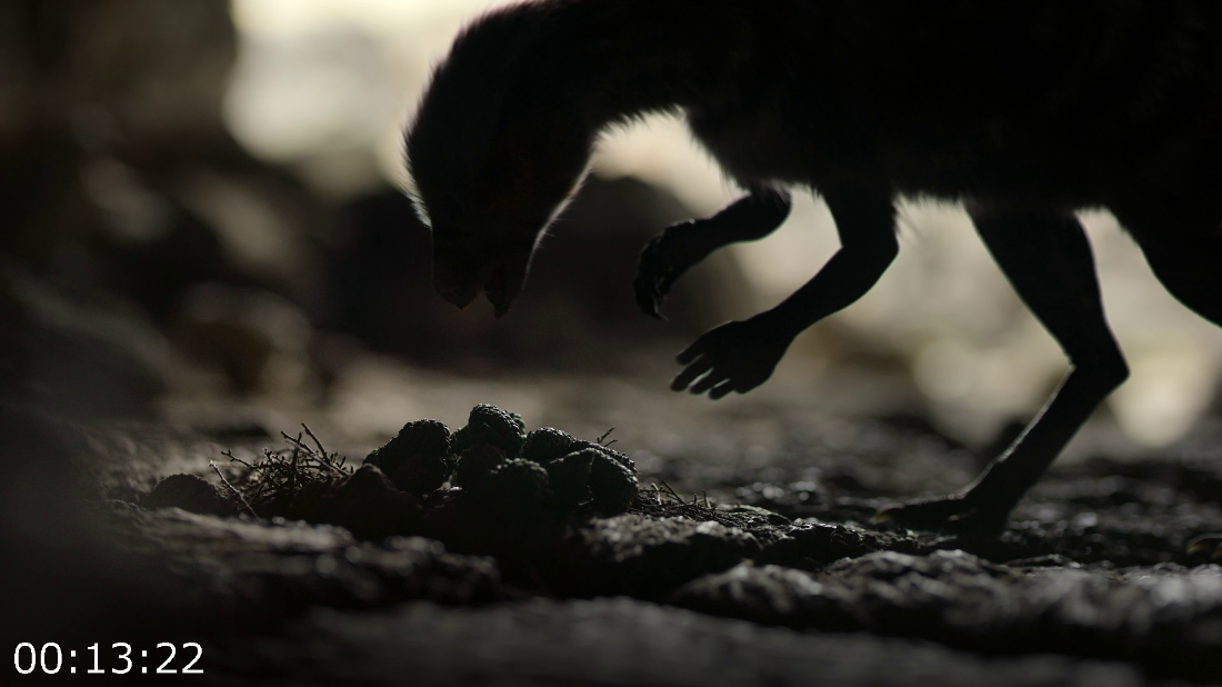 [Kép: ME1B4LGT_o.png]