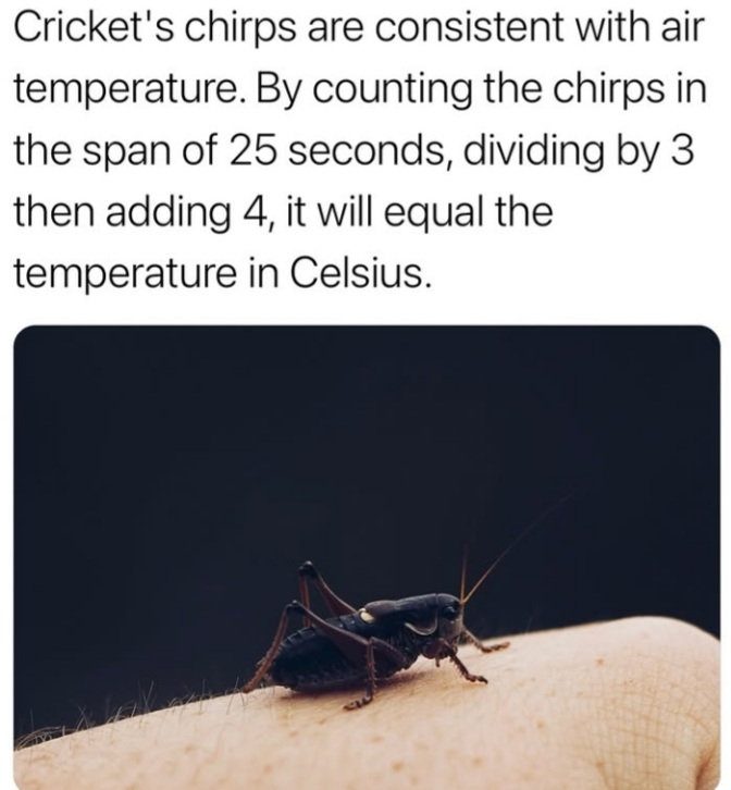 ME13272X_o.jpg