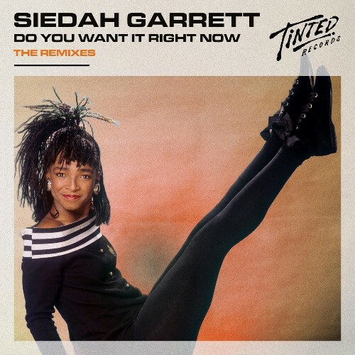  Siedah Garrett - Do You Want It Right Now (the Remixes) (2026) 