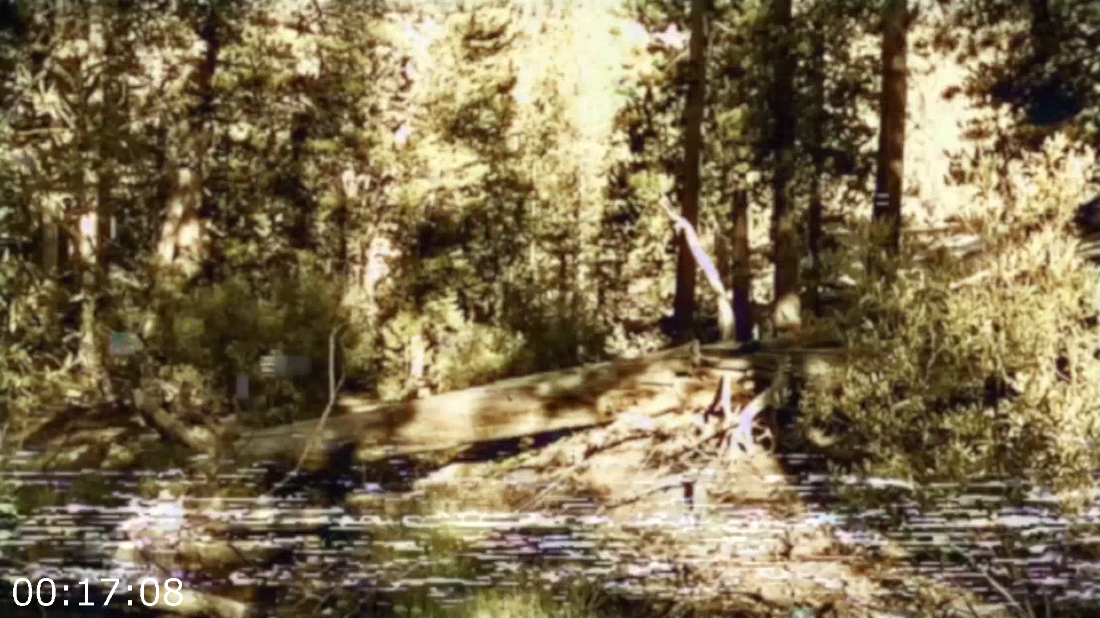 [Kép: ME19GOVY_o.png]