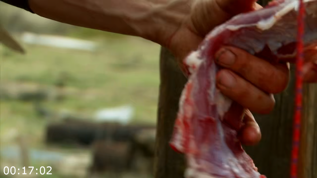 [Image: ME16ZEIX_o.png]