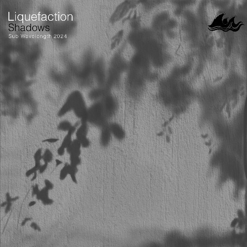  Liquefaction - Shadows (2024) 