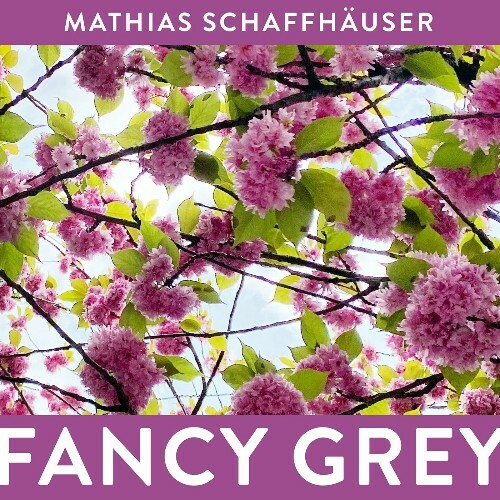 VA - Mathias Schaffhäuser - Fancy Grey (2024) (MP3) MEW1XQ1_o