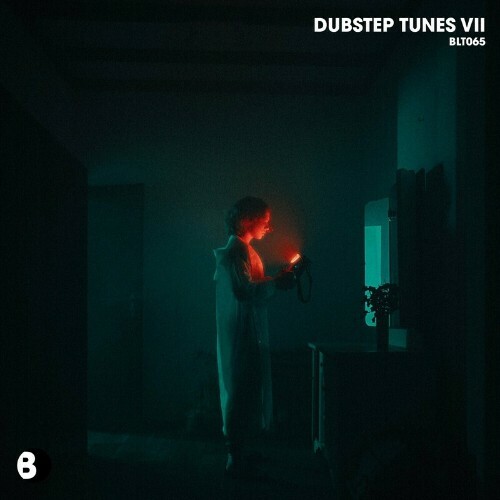 Dubstep Tunes VII (2024)
