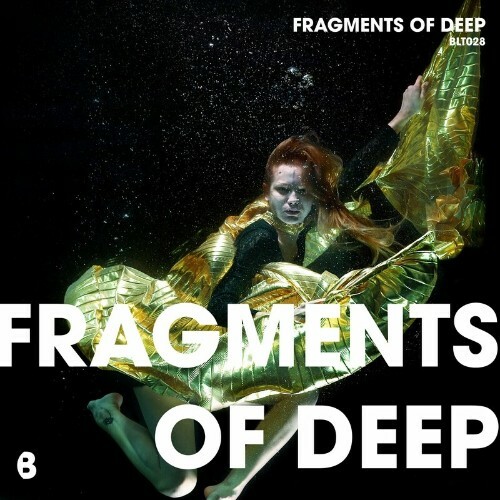  Fragments of Deep (2024) 