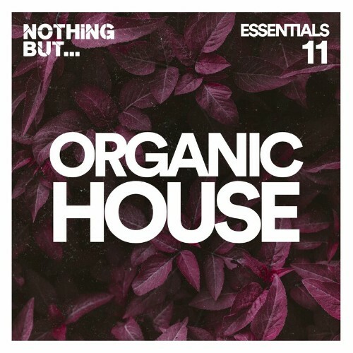  Nothing But... Organic House Essentials, Vol. 11 (2023) 