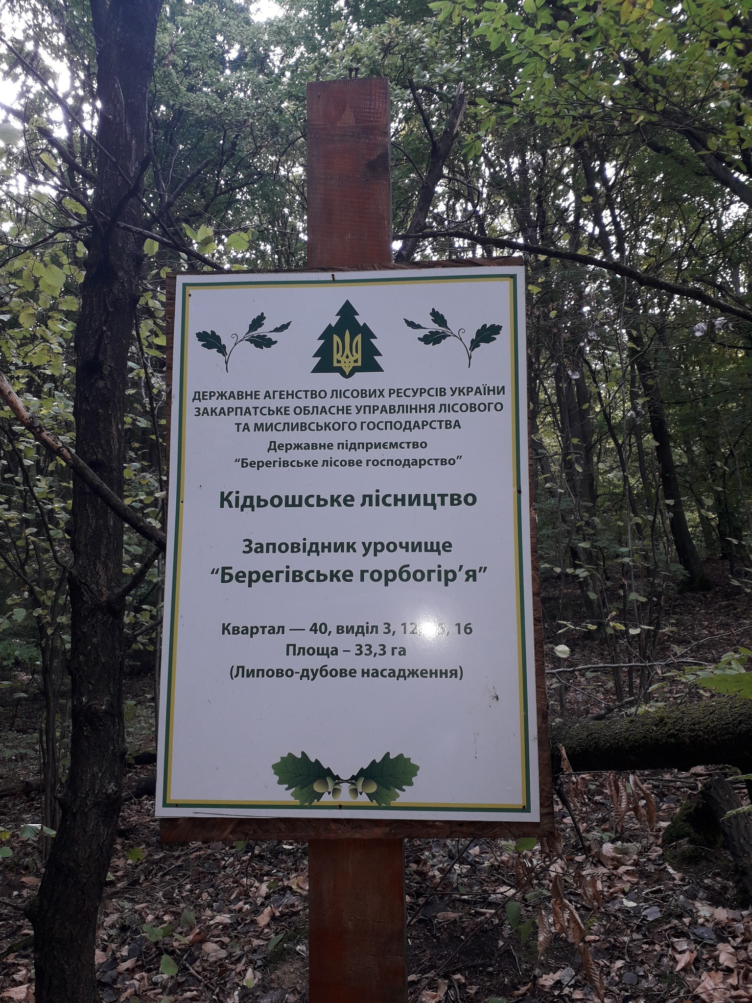 Гр2.jpg