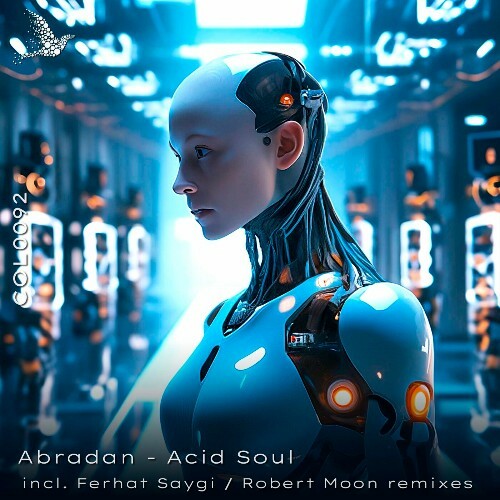  Abradan - Acid Soul, Incl. Ferhat Saygi, Robert Moon Remixes (2024) 