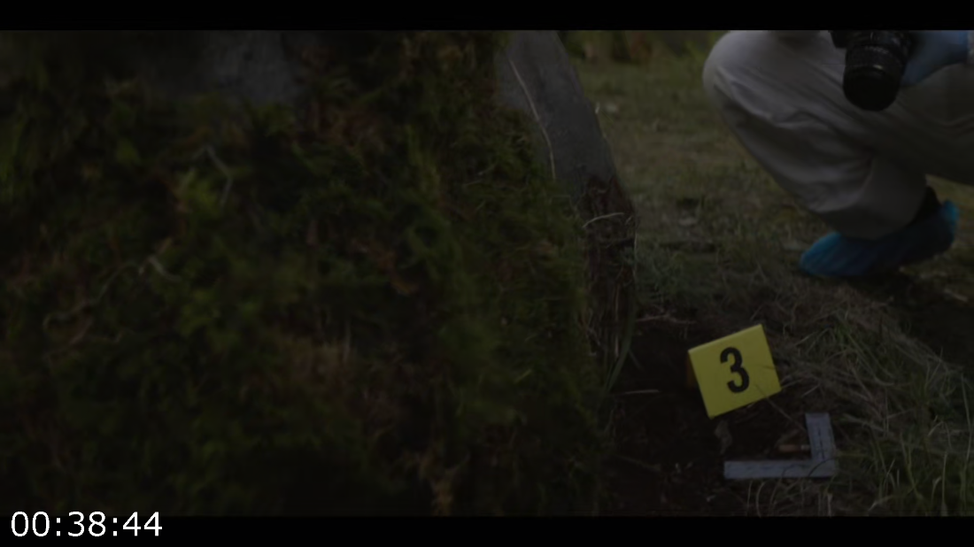 [Image: ME182SOI_o.png]