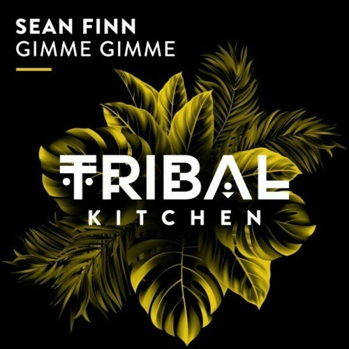  Sean Finn - Gimme Gimme (2024) 