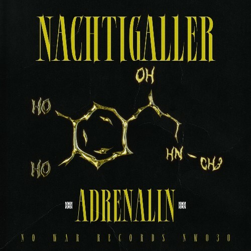 Nachtigaller - Adrenalin (2025) Nachtigaller - Adrenalin (2025)