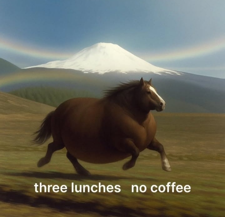 ME11HOIU_o.jpg
