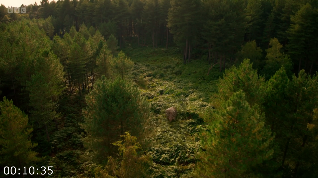 [Kép: ME1BIAAD_o.png]