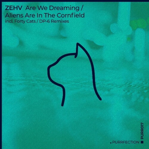 Zehv - Are We Dreaming / Aliens Are in the Cornfield (2024)