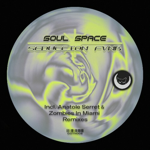 VA - Soul Space - Seduccion Fvnk (2024) (MP3)