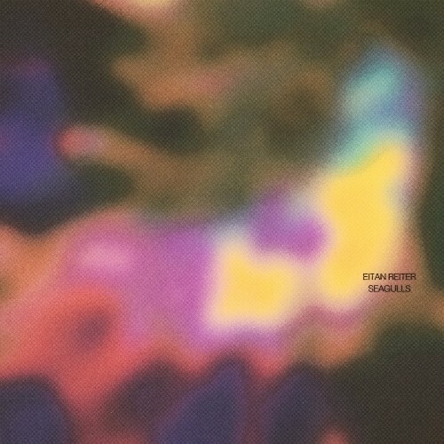  Eitan Reiter - Seagulls (2025) 