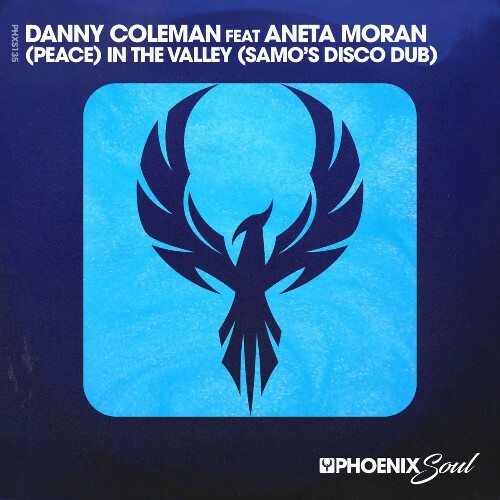Danny Coleman feat Aneta Moran — (Peace) In The Valley (SAMO's Disco Dub) (2026)