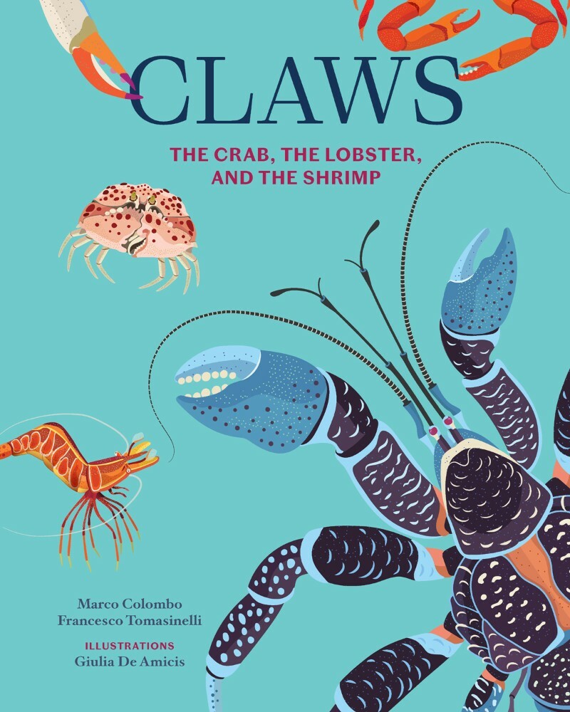 Claws The Crab The Lobster And The Shrimp (Colombo Tomasinelli Amicis)