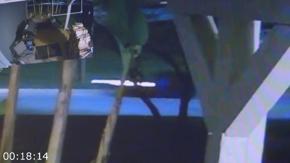 [Image: ME17HMHL_o.png]