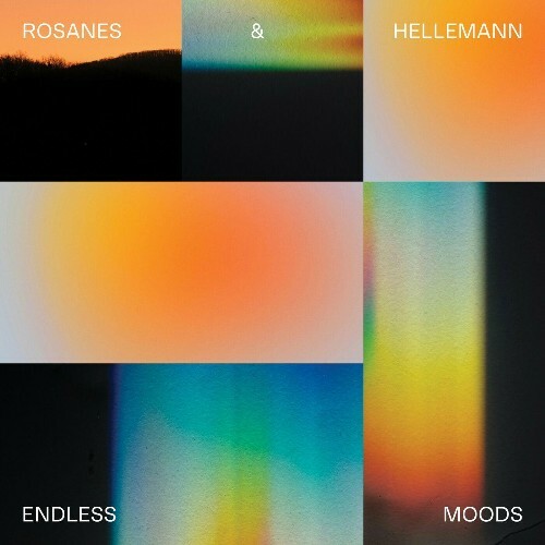  Noah Rosanes and Peter Hellemann - Endless Moods (2025) 