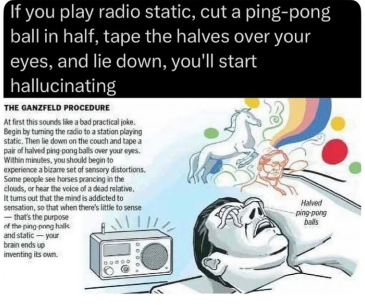 ME137GC4_o.jpg