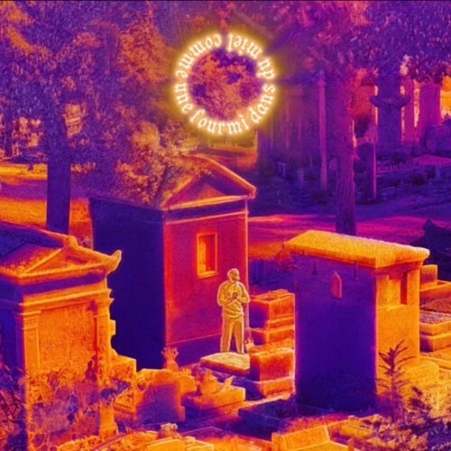  La 6este - c o m m e u n e f o u r m i d a n s d u m i e l (2026) 
