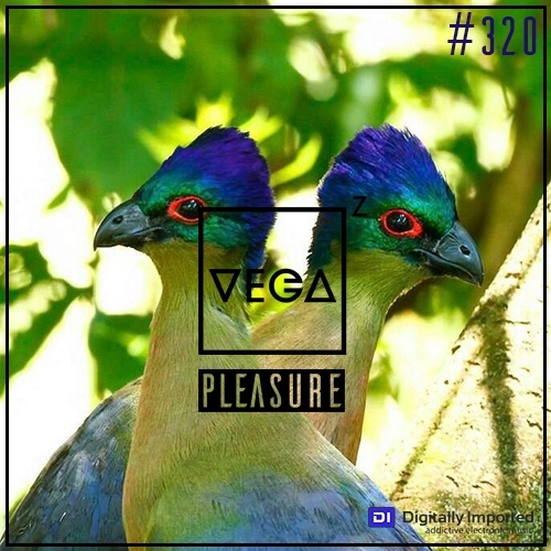 Vega Z — Pleasure 320 (2023-03-29)