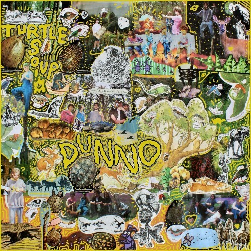  Turtle Soup - DUNNO (2025) 