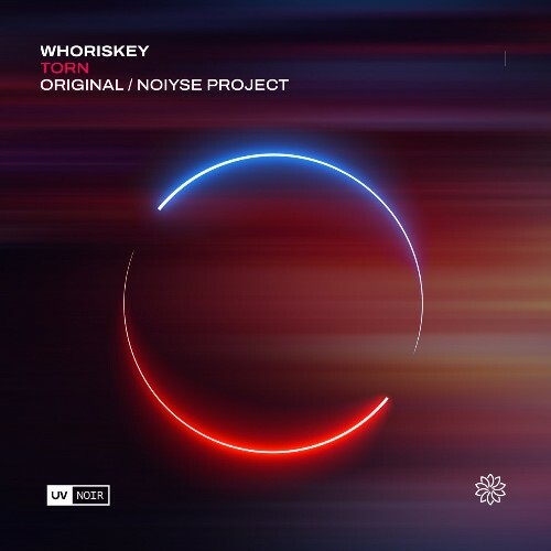  Whoriskey - Torn (2024) 