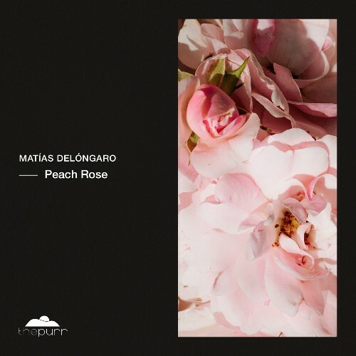  Mat&#237;as Del&#243;ngaro - Peach Rose (2024) 