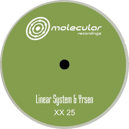 Linear System, Yrsen - XX 25 (2025) 