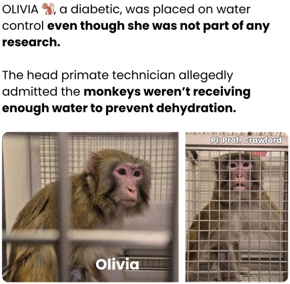 ME1CVXCN_o.jpg