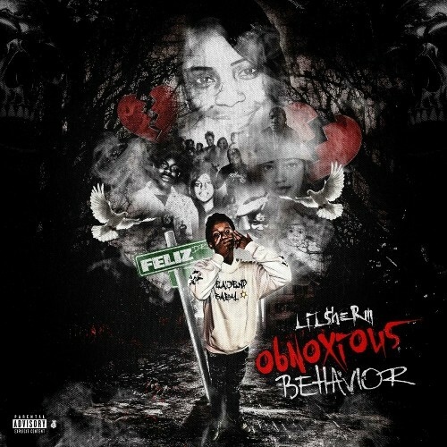 MP3:  Lil $herm - Obnoxious Behavior (2024) Онлайн