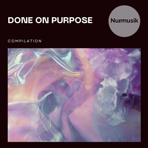  Roododisco - Done on Purpose (2024)  MEUTCFC_o