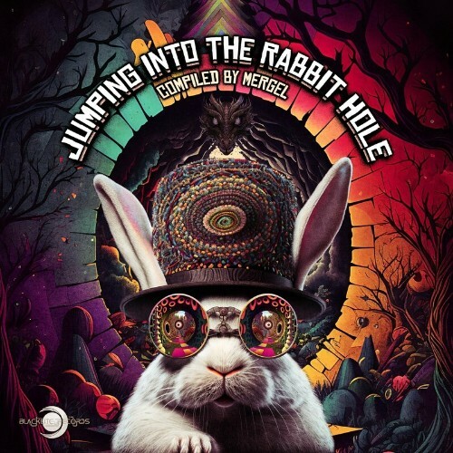  Jumping into the Rabbit Hole (Compiled by Mergel) (2023) 