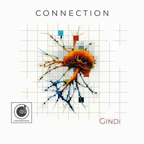 VA - Gindi - Connection (2024) (MP3) MEVAQN5_o