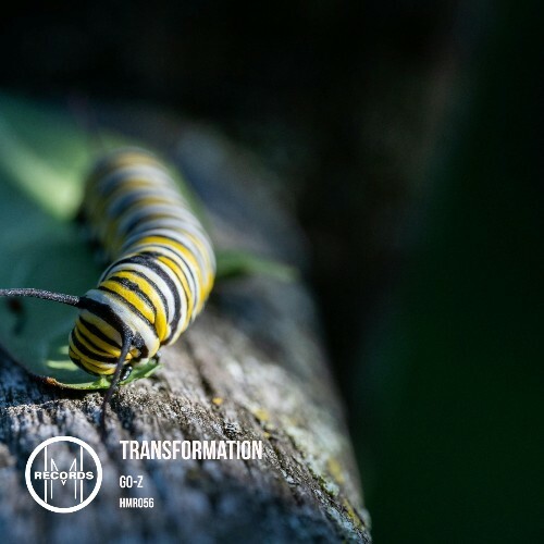  Go-z - Transformation (2026) 