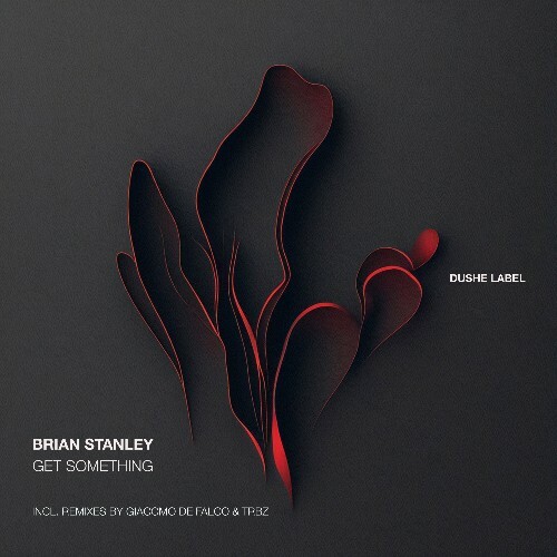  Brian Stanley - Get Something (2025) 