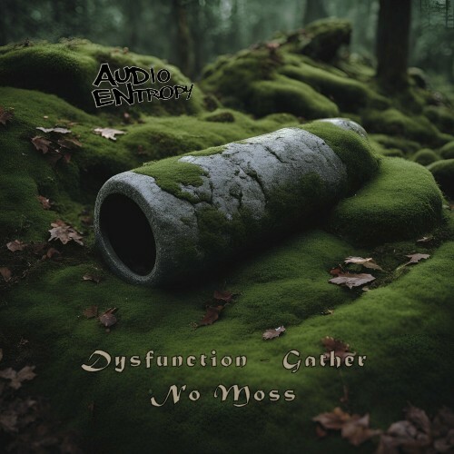  Dysfunction - Gather No Moss (2024) 