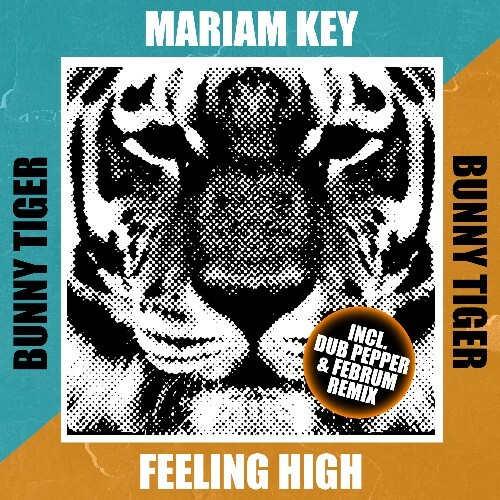  Mariam Key - Feeling High (2025) 