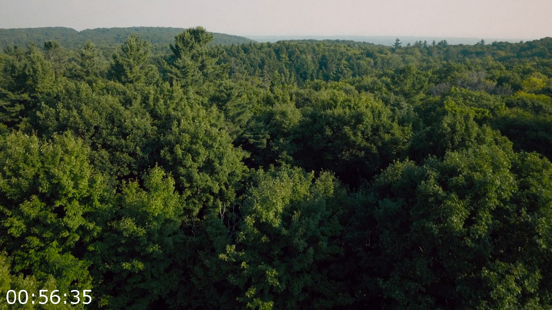 [Kép: ME1BE6EK_o.png]