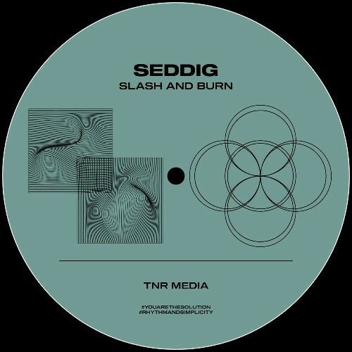  Seddig - Slash and Burn (2025) 