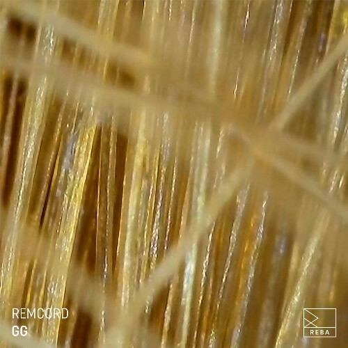  Remcord - GG (2025) 