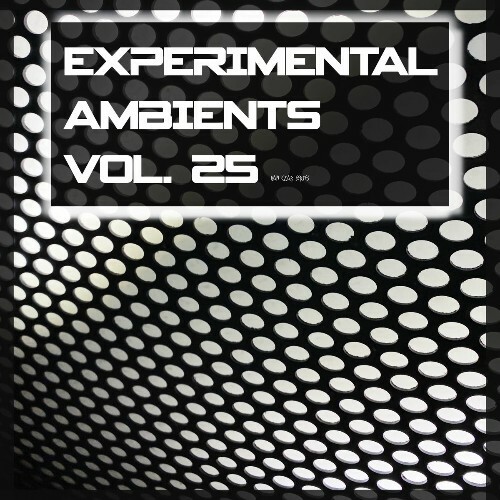  Experimental Ambients, Vol. 25 (2025) 